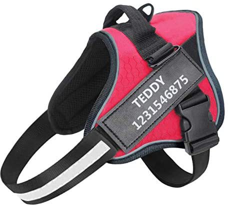 Pet Dog Walking Harness Leash Lead Set