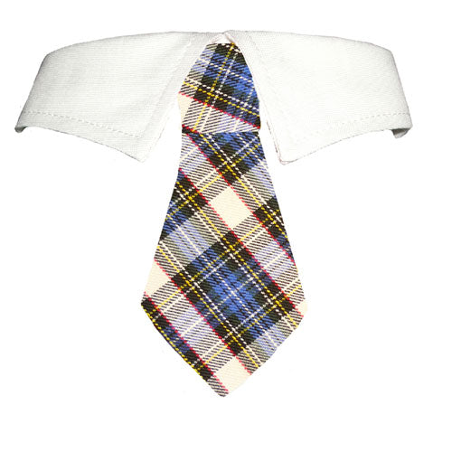 Blake Shirt Collar - [[Product type]] | Buffy's