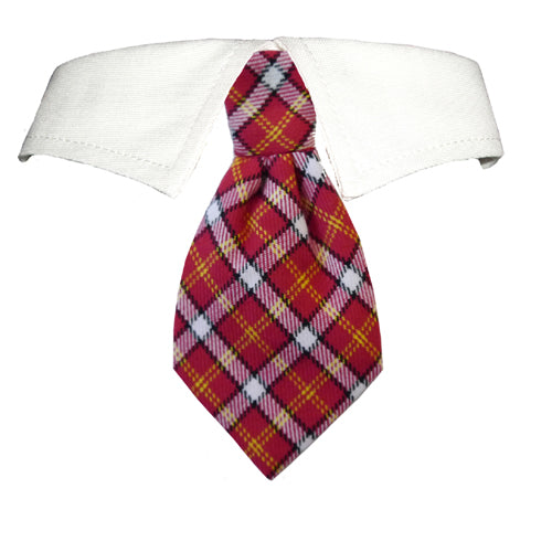 Richie Shirt Collar - [[Product type]] | Buffy's