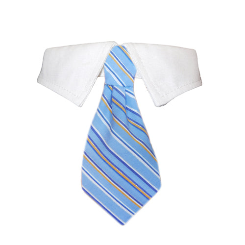 Kyle Shirt Collar - [[Product type]] | Buffy's