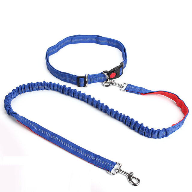 Outdoor Reflective Leash Traction Rope Pet Dog Running Belt Elastic Hand Pull Dog Leash