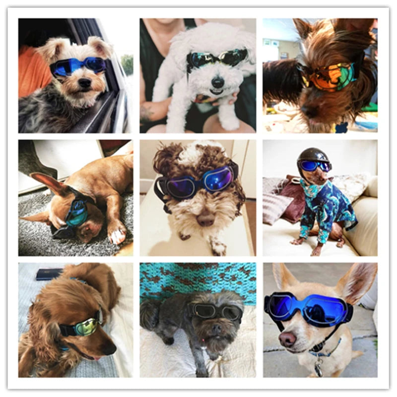 Pet Dog Sunglasses Adjustable Goggles Sun Glasses