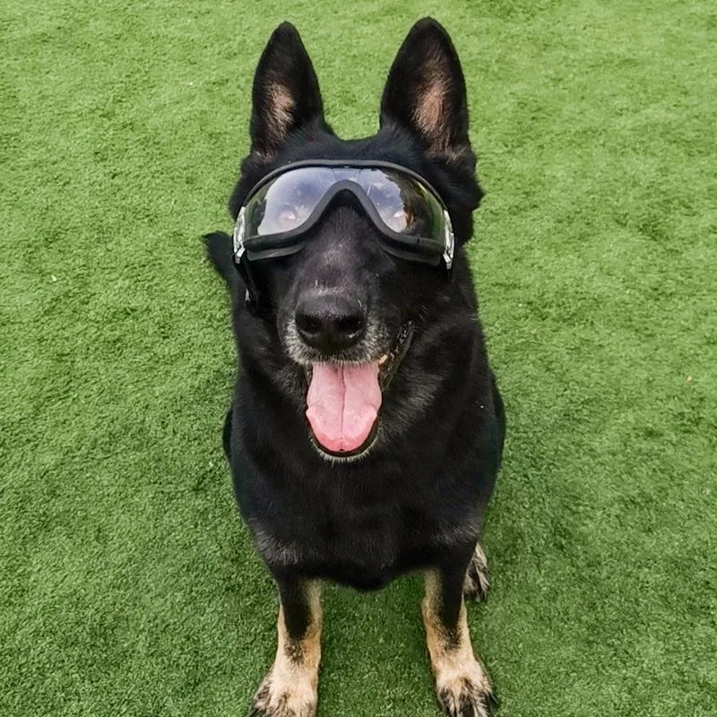 Pet Goggles Waterproof Windproof  UV Large Dog Glasses