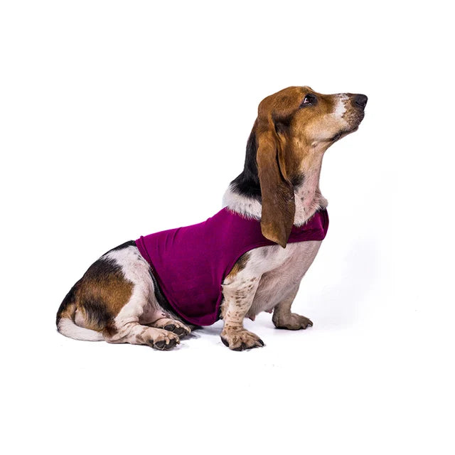 Dog Anti-anxiety Overcome Fear Jacket Pet Rehabilitation Suit