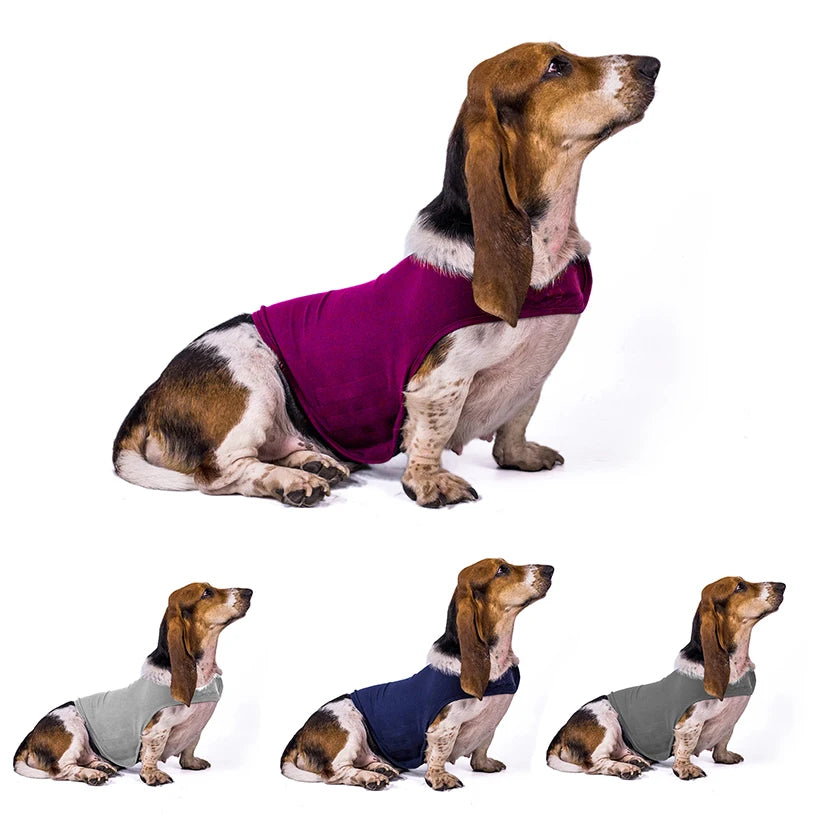 Dog Anti-anxiety Overcome Fear Jacket Pet Rehabilitation Suit