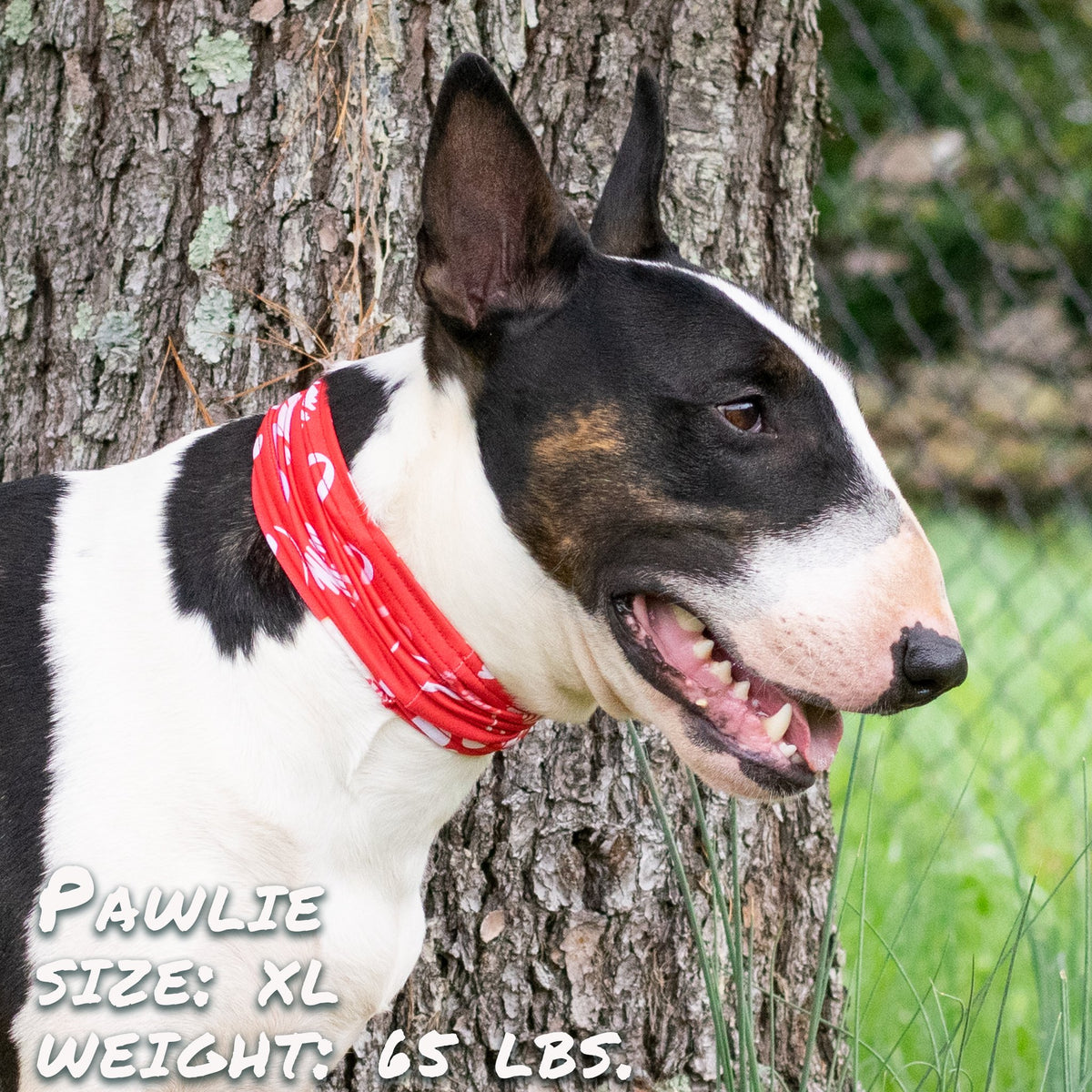 Puppy Love Pup Scruff - [[Product type]] | Buffy's