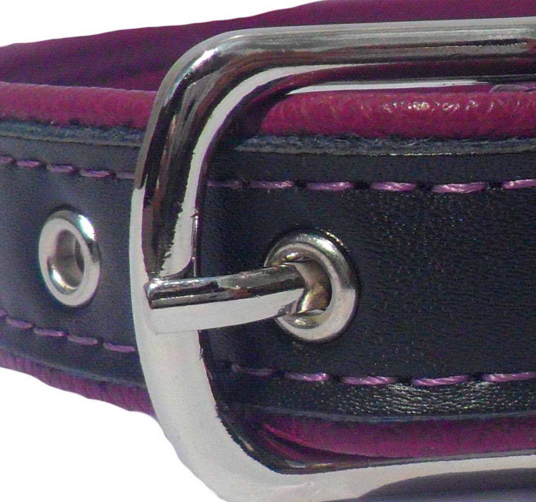 Berry Dog Collar - [[Product type]] | Buffy's