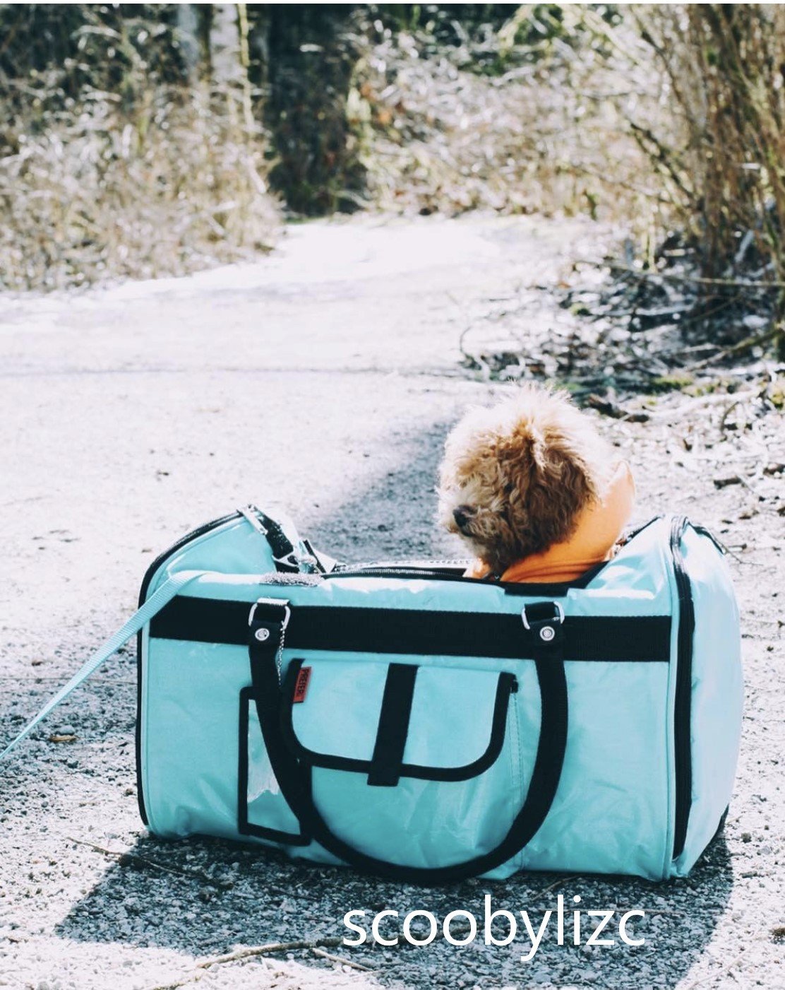 312 Hideaway™ Duffel - Pet Carrier - [[Product type]] | Buffy's