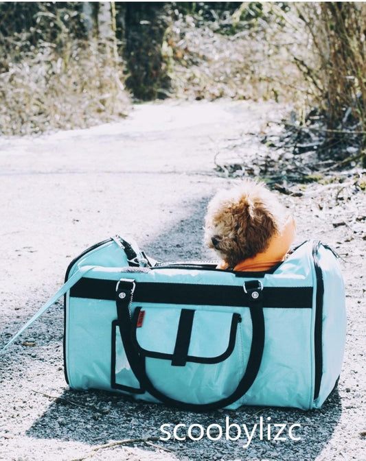 312 Hideaway™ Duffel - Pet Carrier - [[Product type]] | Buffy's