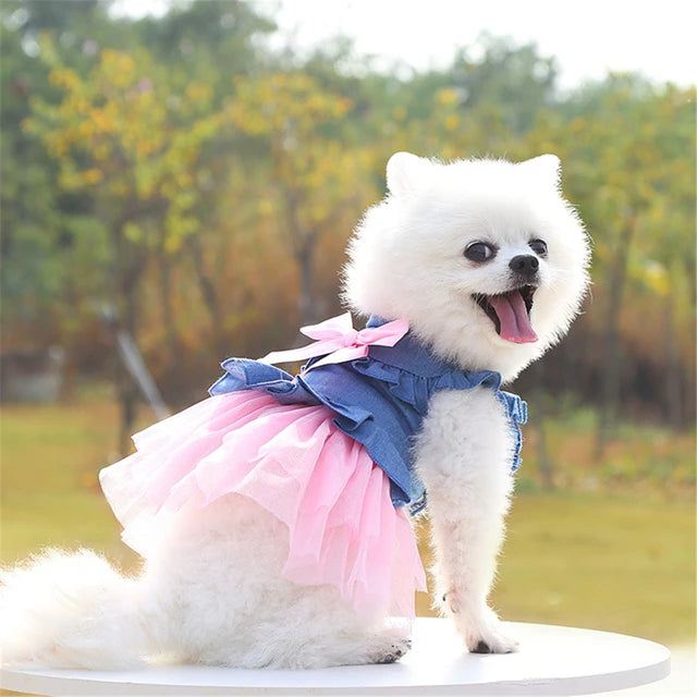 Summer Dress Pets Cat Dog Clothes Spring Dresses