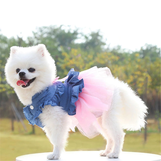 Summer Dress Pets Cat Dog Clothes Spring Dresses