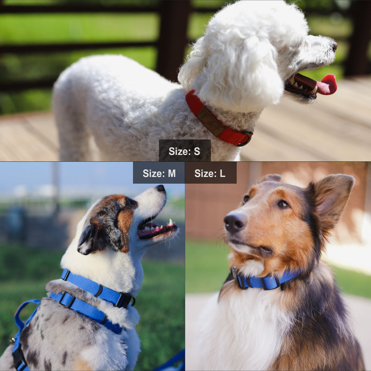 Lof Collar - [[Product type]] | Buffy's