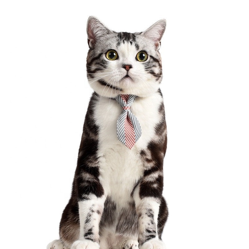 Pet Dog Collar with Tie Cat Bowtie Cute Design Adjustable
