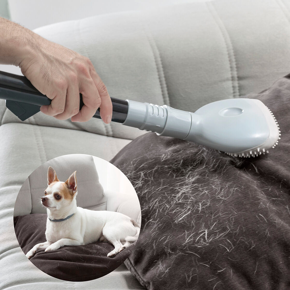 Vacuum Cleaner Brush Smoovah InnovaGoods - [[Product type]] | Buffy's