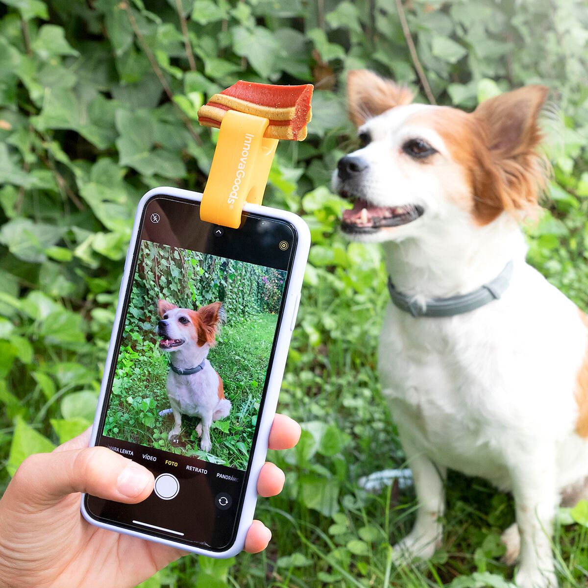 Selfie Clip for Pets Pefie InnovaGoods - [[Product type]] | Buffy's