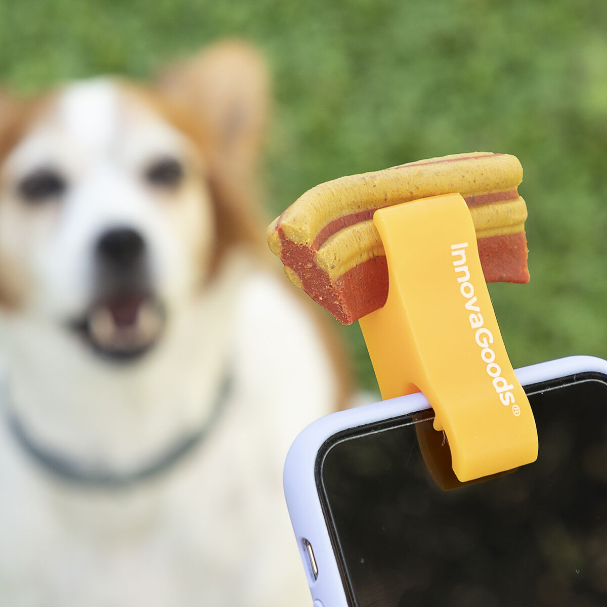 Selfie Clip for Pets Pefie InnovaGoods - [[Product type]] | Buffy's