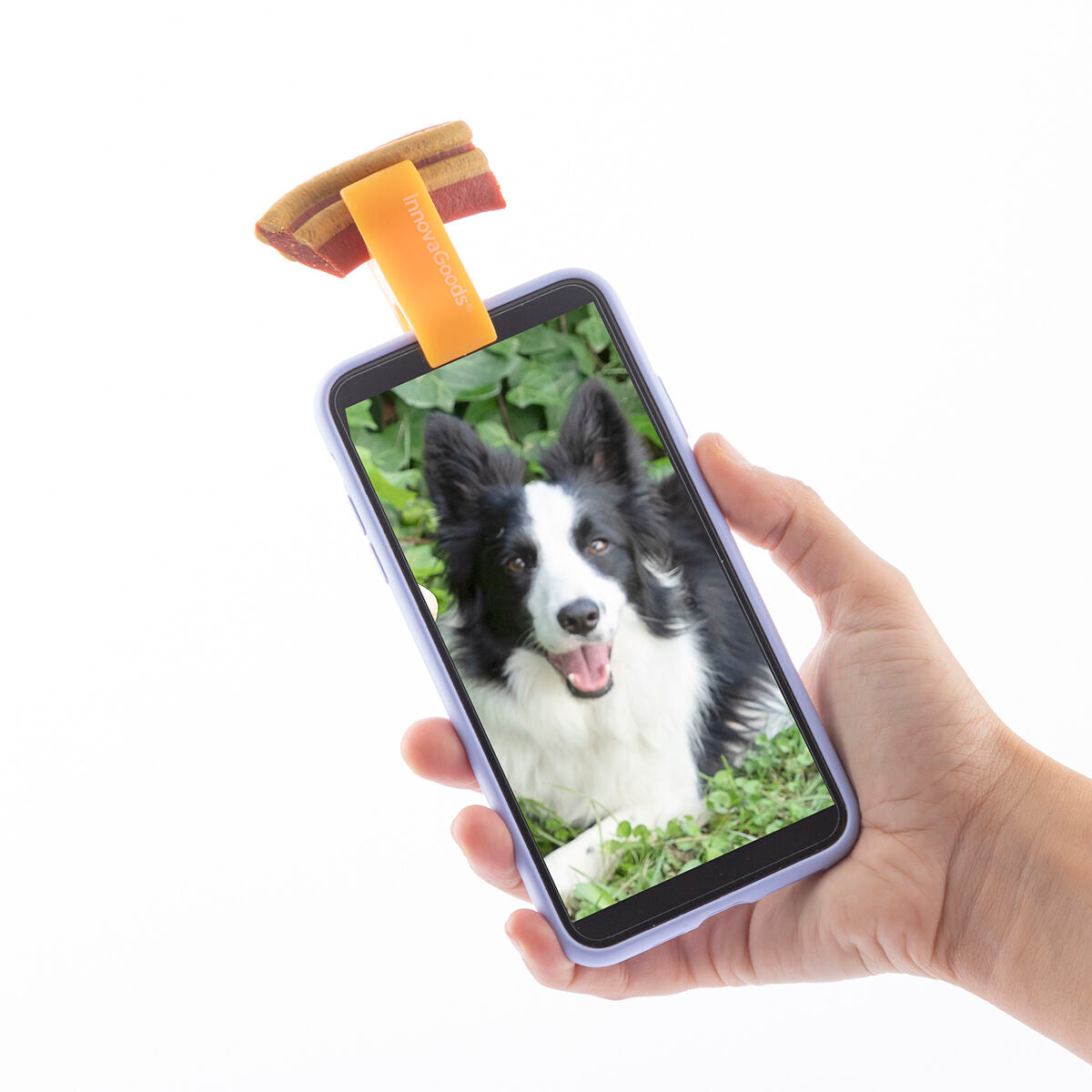 Selfie Clip for Pets Pefie InnovaGoods - [[Product type]] | Buffy's