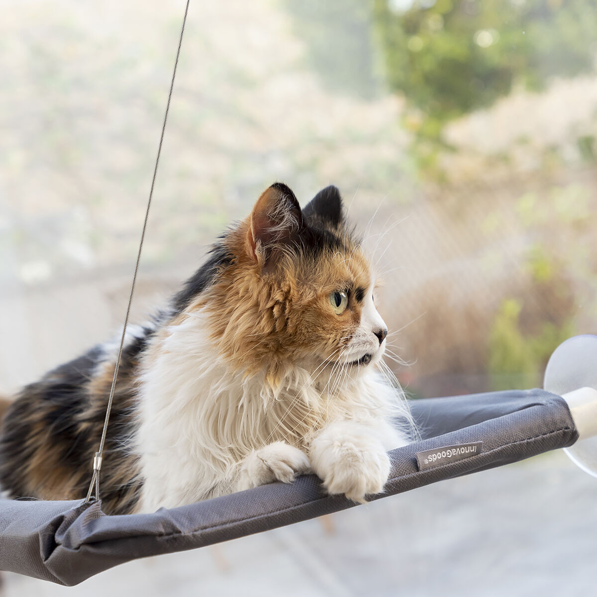 Hanging Cat Hammock Catlax InnovaGoods - [[Product type]] | Buffy's