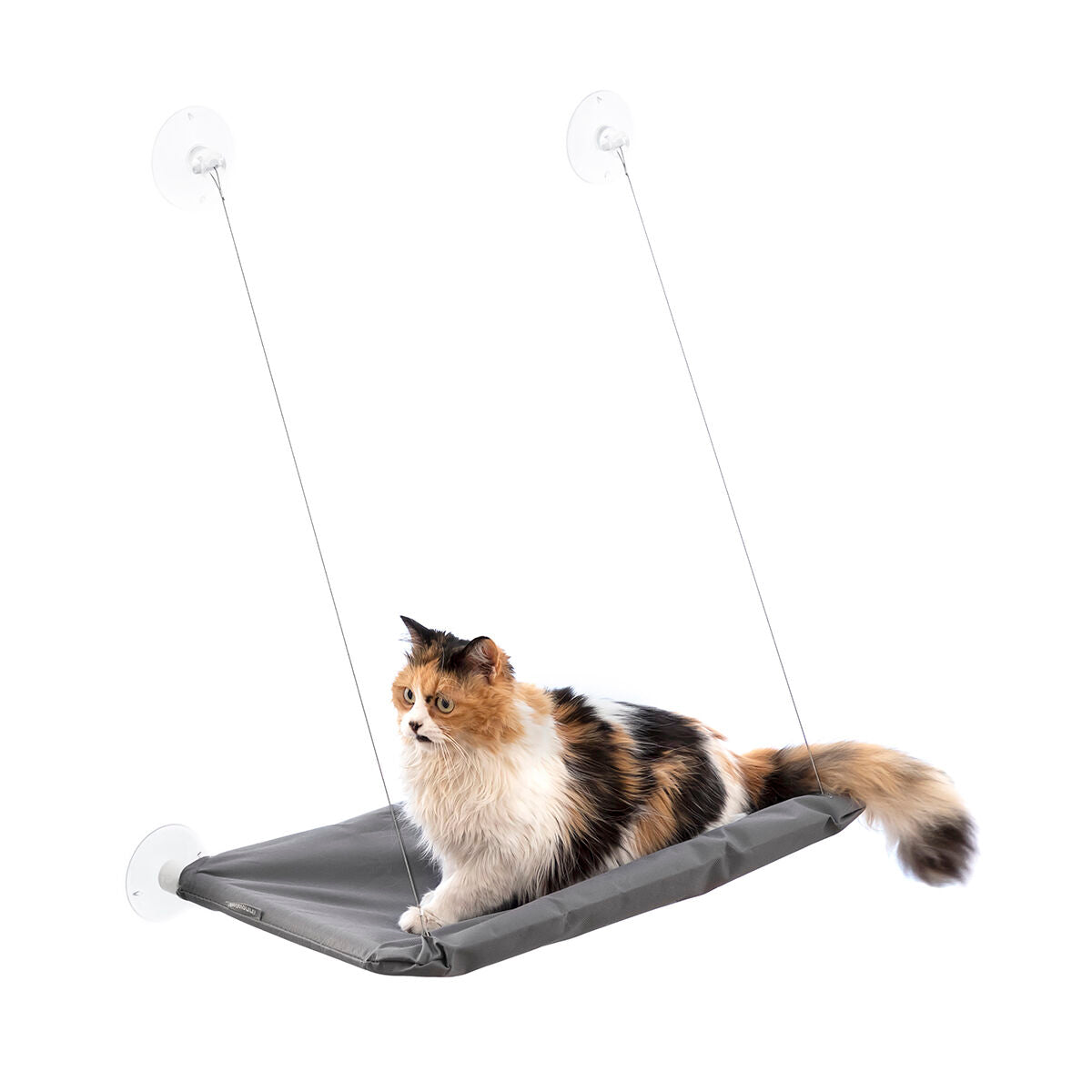 Hanging Cat Hammock Catlax InnovaGoods - [[Product type]] | Buffy's