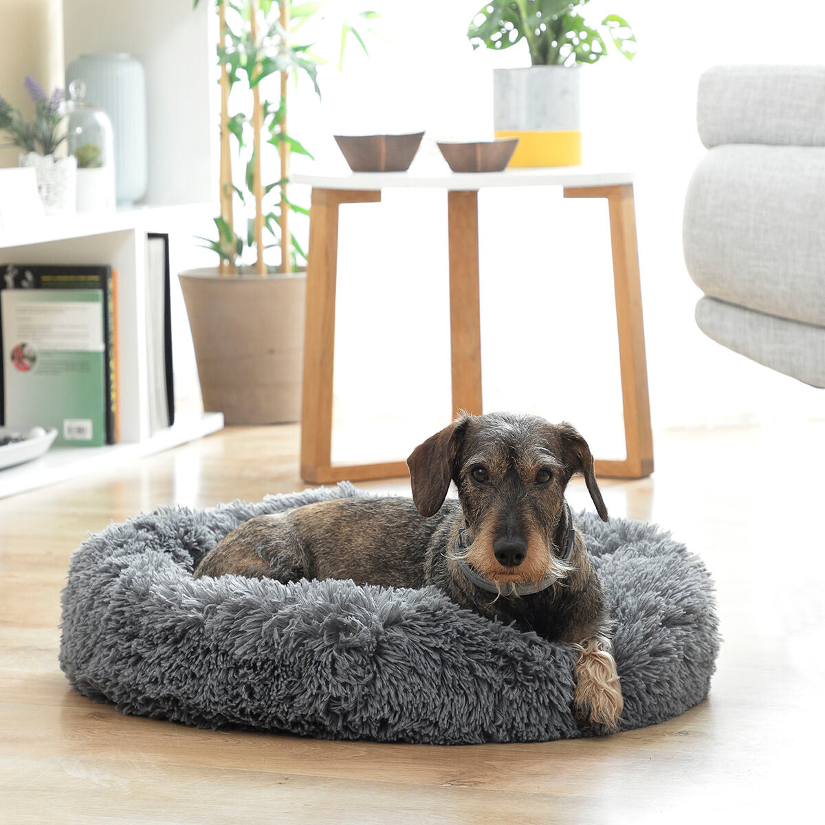 Anti-stress Pet Bed Bepess InnovaGoods Ø 60 cm - [[Product type]] | Buffy's