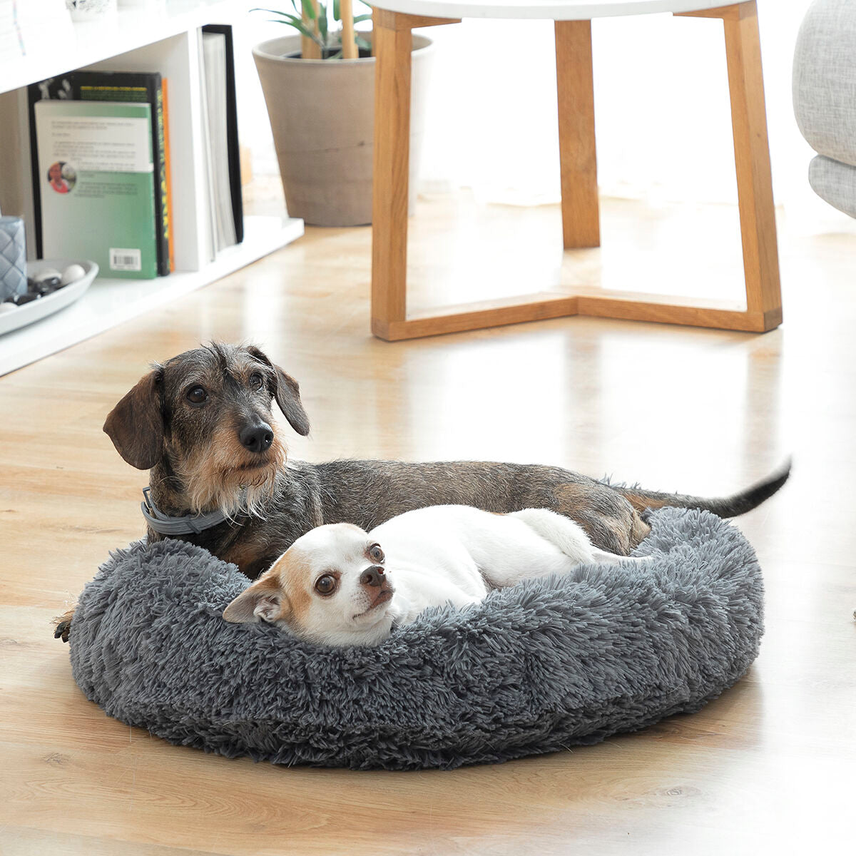 Anti-stress Pet Bed Bepess InnovaGoods Ø 60 cm - [[Product type]] | Buffy's
