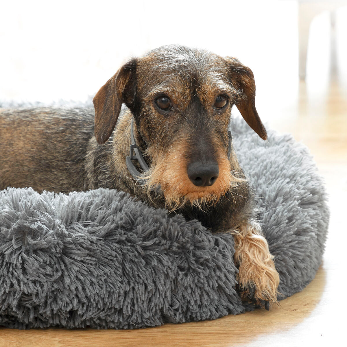 Anti-stress Pet Bed Bepess InnovaGoods Ø 60 cm - [[Product type]] | Buffy's