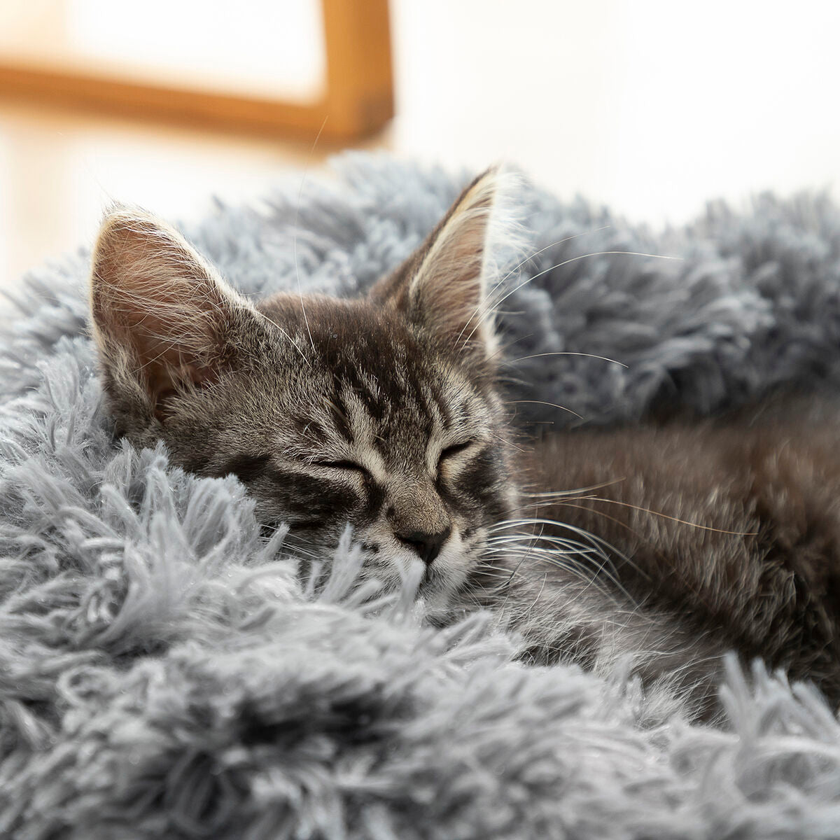 Anti-stress Pet Bed Bepess InnovaGoods Ø 60 cm - [[Product type]] | Buffy's