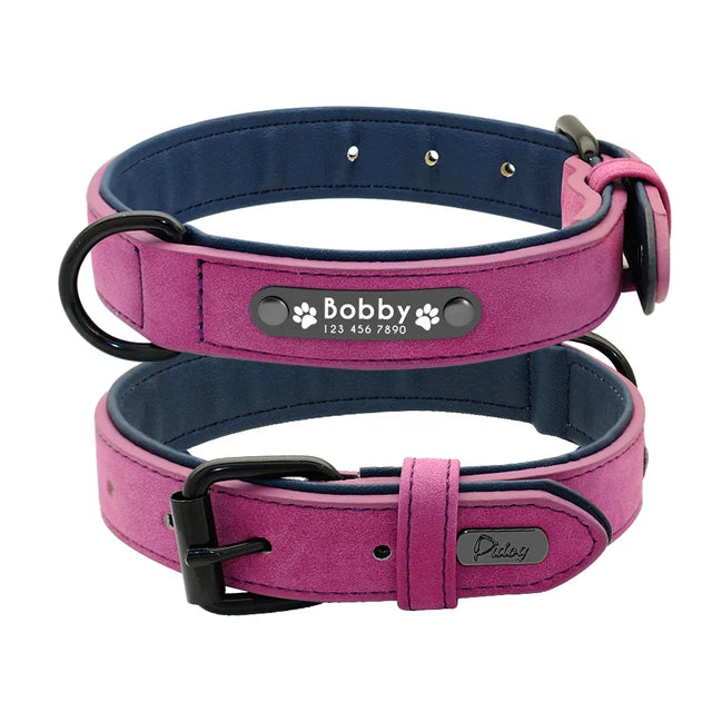 Customized Dogs Collars Personalized Padded Leather Collar With Walking Leash