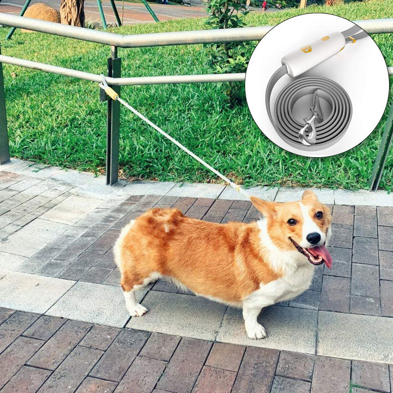 Dog Adjustable Traction Elastic Reflective Leash Traction Rope