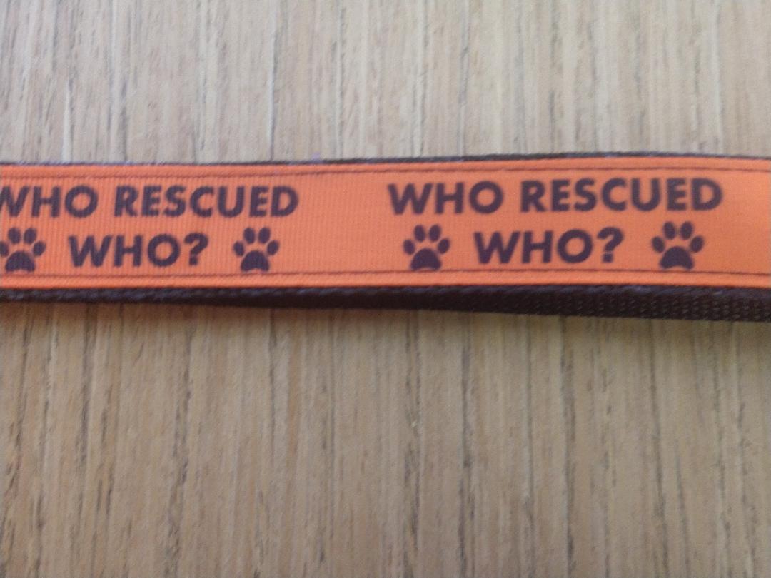 Leash/ Large/ Who Rescued Who - [[Product type]] | Buffy's