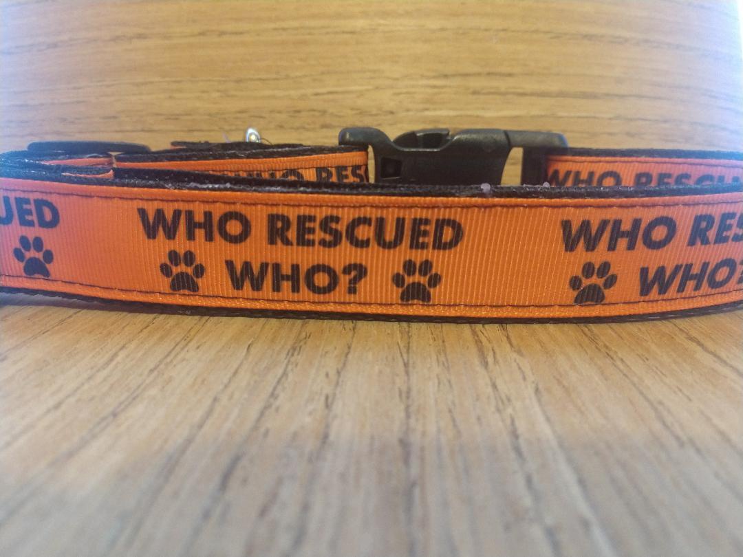 Leash/ Large/ Who Rescued Who - [[Product type]] | Buffy's
