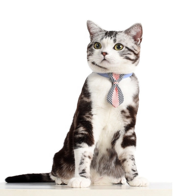 Pet Dog Collar with Tie Cat Bowtie Cute Design Adjustable