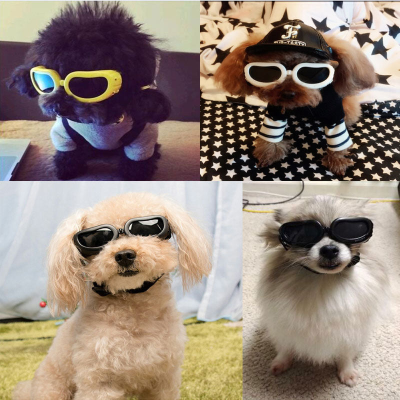 Pet Dog Sunglasses Windproof Protection UV Glasses