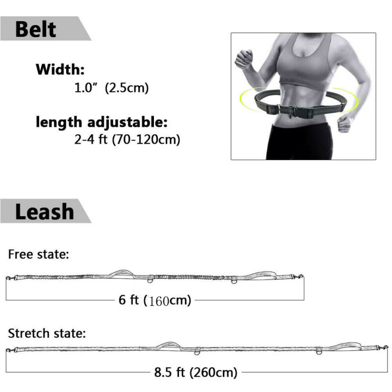 Outdoor Reflective Leash Traction Rope Pet Dog Running Belt Elastic Hand Pull Dog Leash