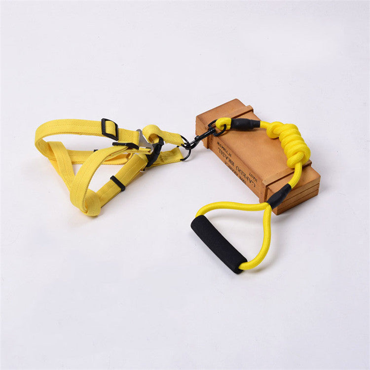 Solid Color Pet Adjustable Chest Strap Harness Leash With Collar Set
