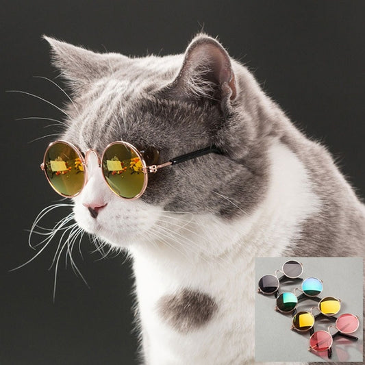 Little Dog Cat Eye Wear Dog Sunglasses
