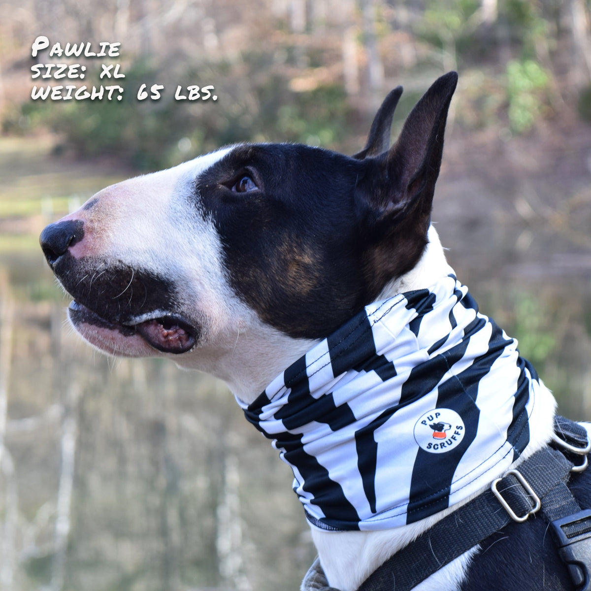 Zebra Pup Scruff - [[Product type]] | Buffy's