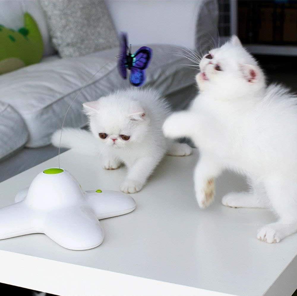 Flutter Bug Butterfly Cat Toy - Interactive Teaser Pet Kitty Play - [[Product type]] | Buffy's