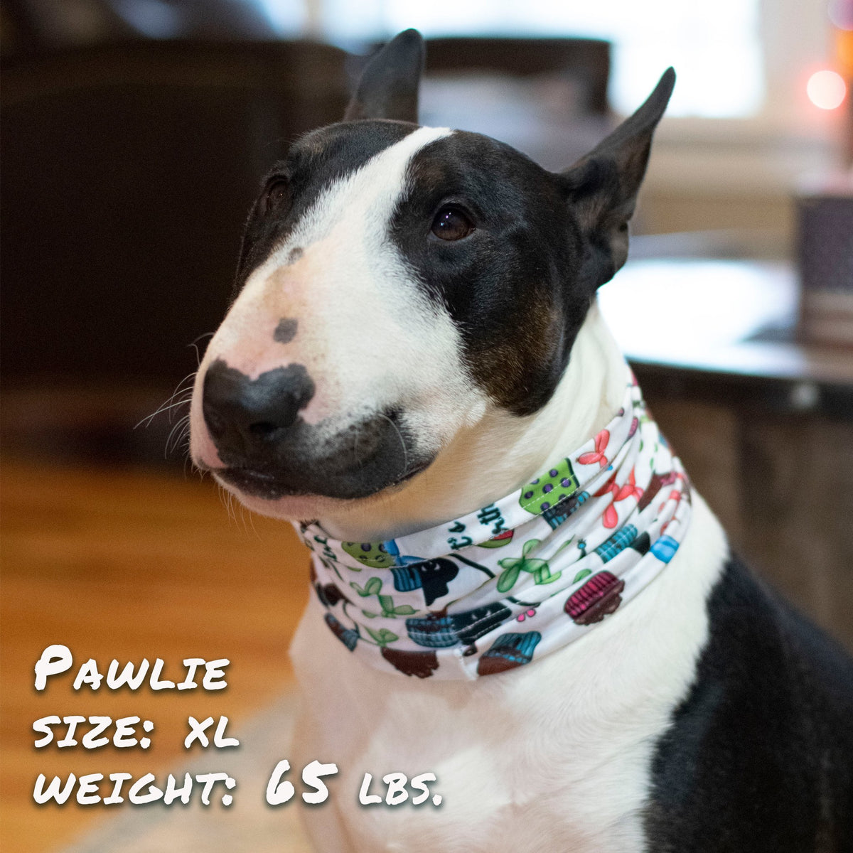 Birthday Pawty Pup Scruff - [[Product type]] | Buffy's