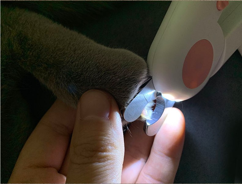 Pet Nail Scissors LED Cat Nail Clipper Trimmer - [[Product type]] | Buffy's