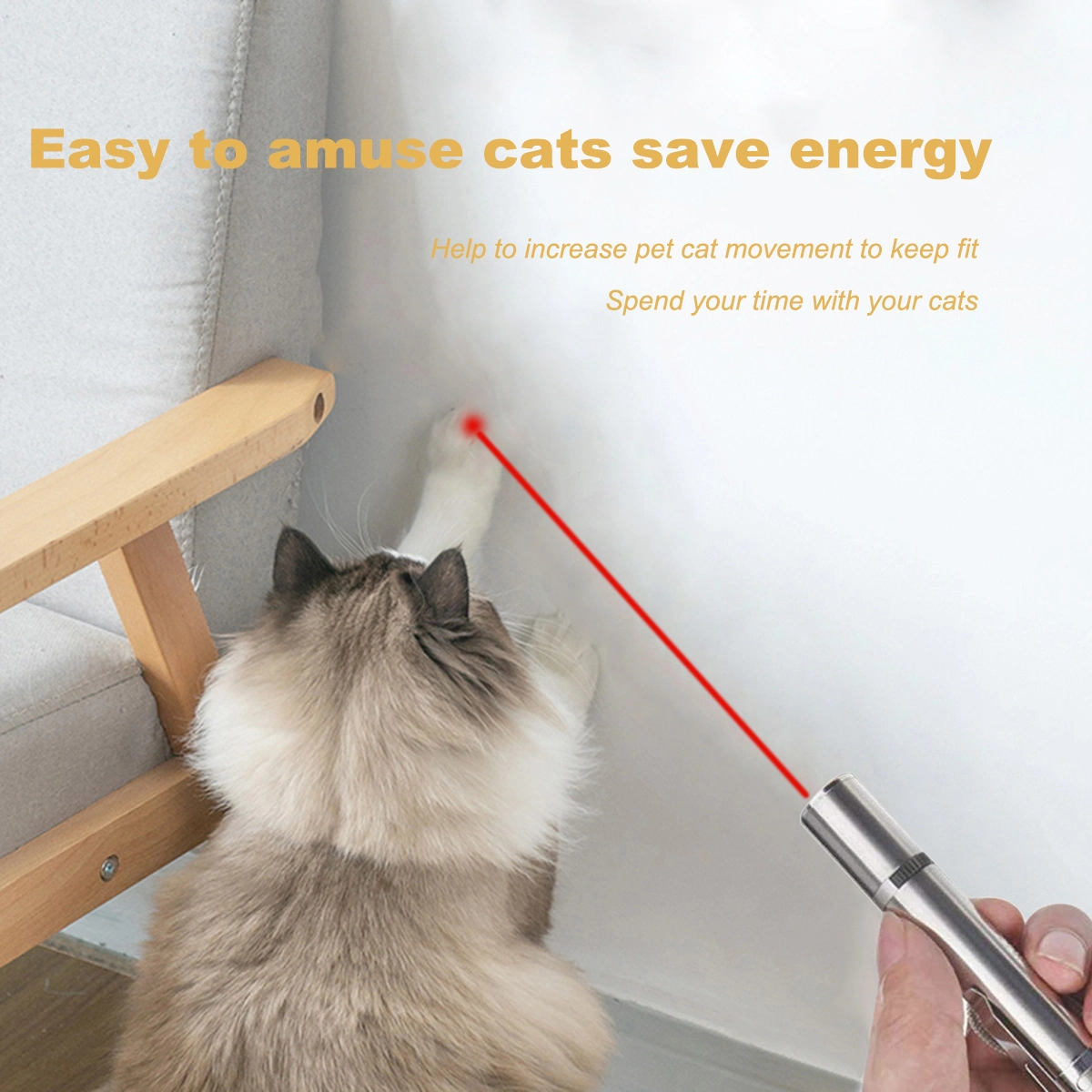 Pet Training Exercise Tool Cat Toys LED Pointer - [[Product type]] | Buffy's