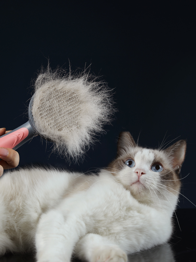 Pet Grooming Cat Comb Dog Comb Cat Hair Brush - [[Product type]] | Buffy's