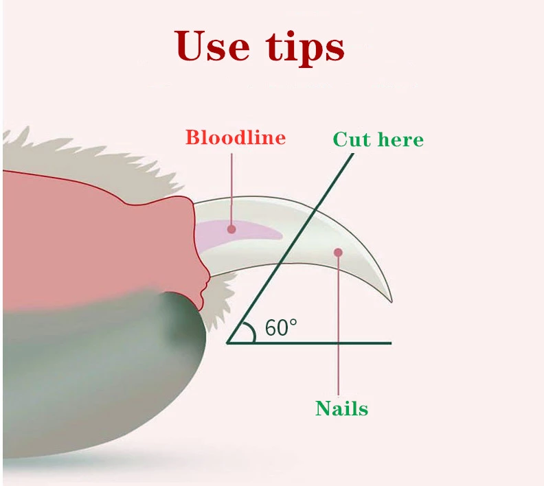 Pet Nail Scissors LED Cat Nail Clipper Trimmer - [[Product type]] | Buffy's