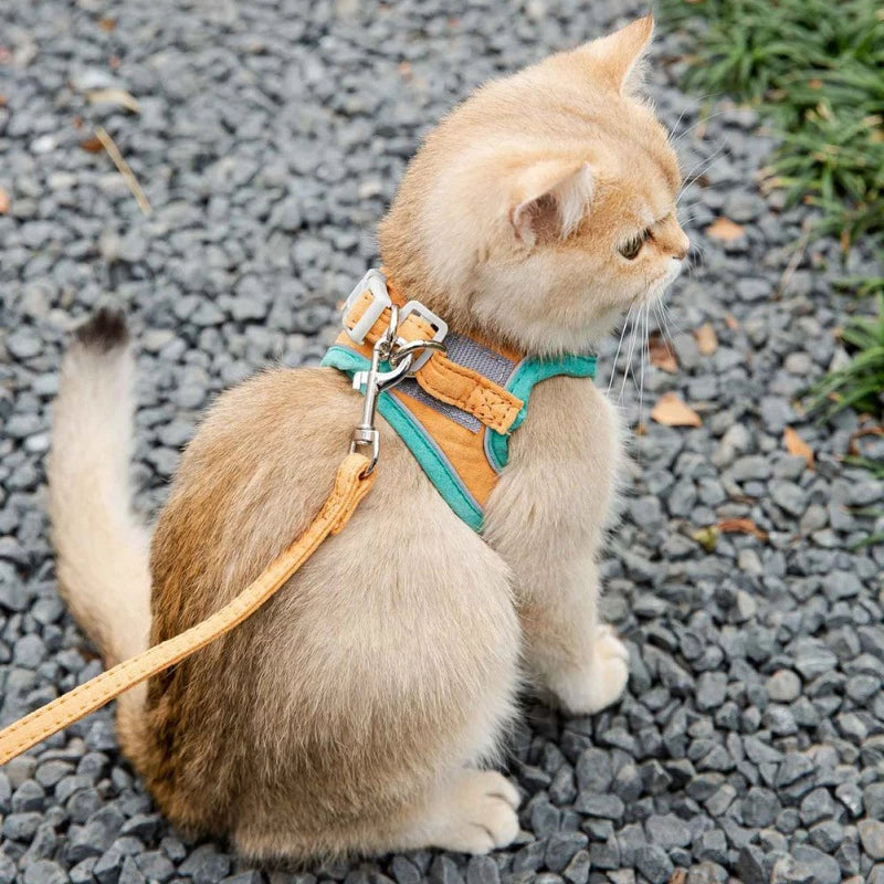 Adjustable Cat Harness With Leash Set Reflective Vest Pet Harnesses - [[Product type]] | Buffy's