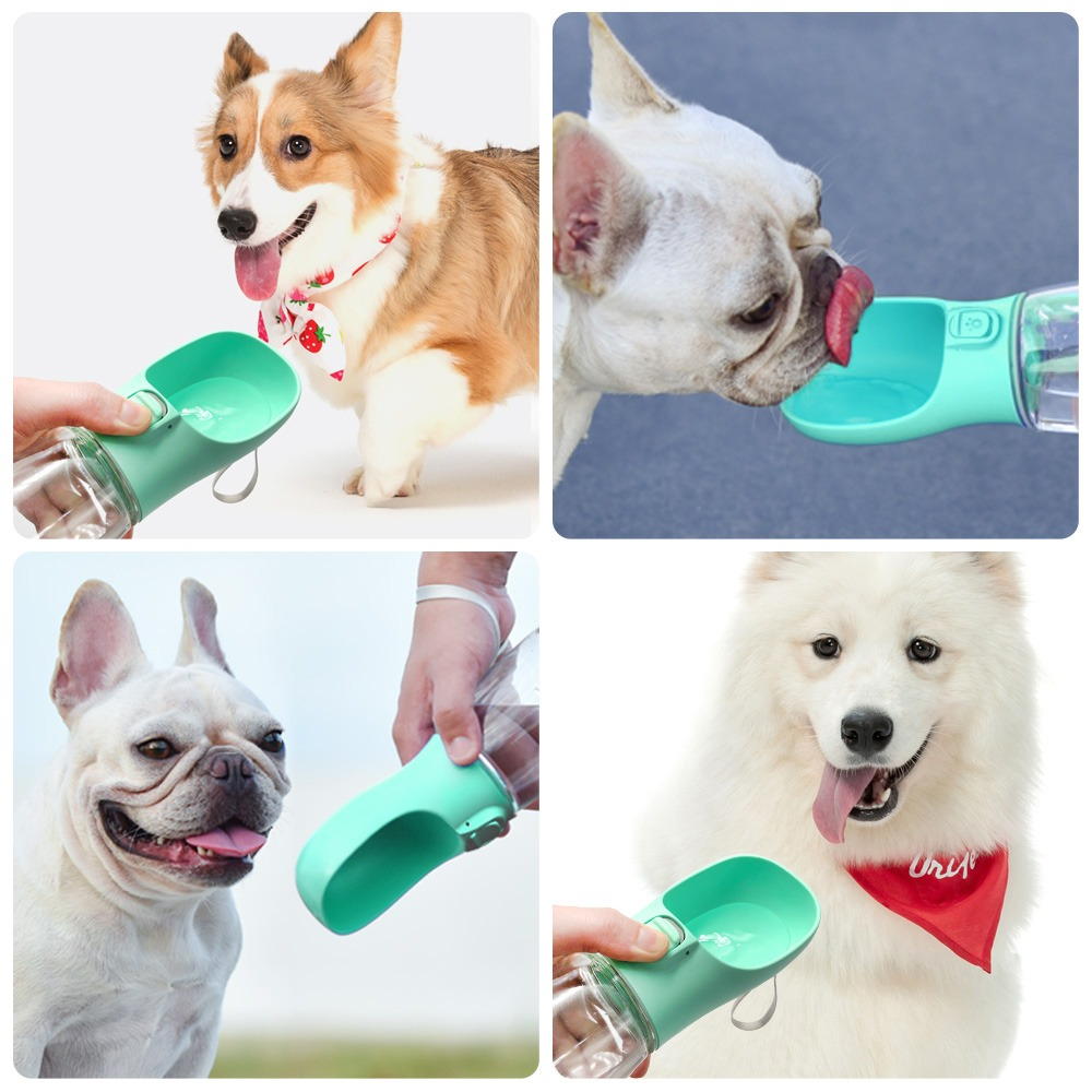 Outdoor Pet Dog Feeder Bowls Cats Dogs Travel Water Dispenser Feeder - [[Product type]] | Buffy's