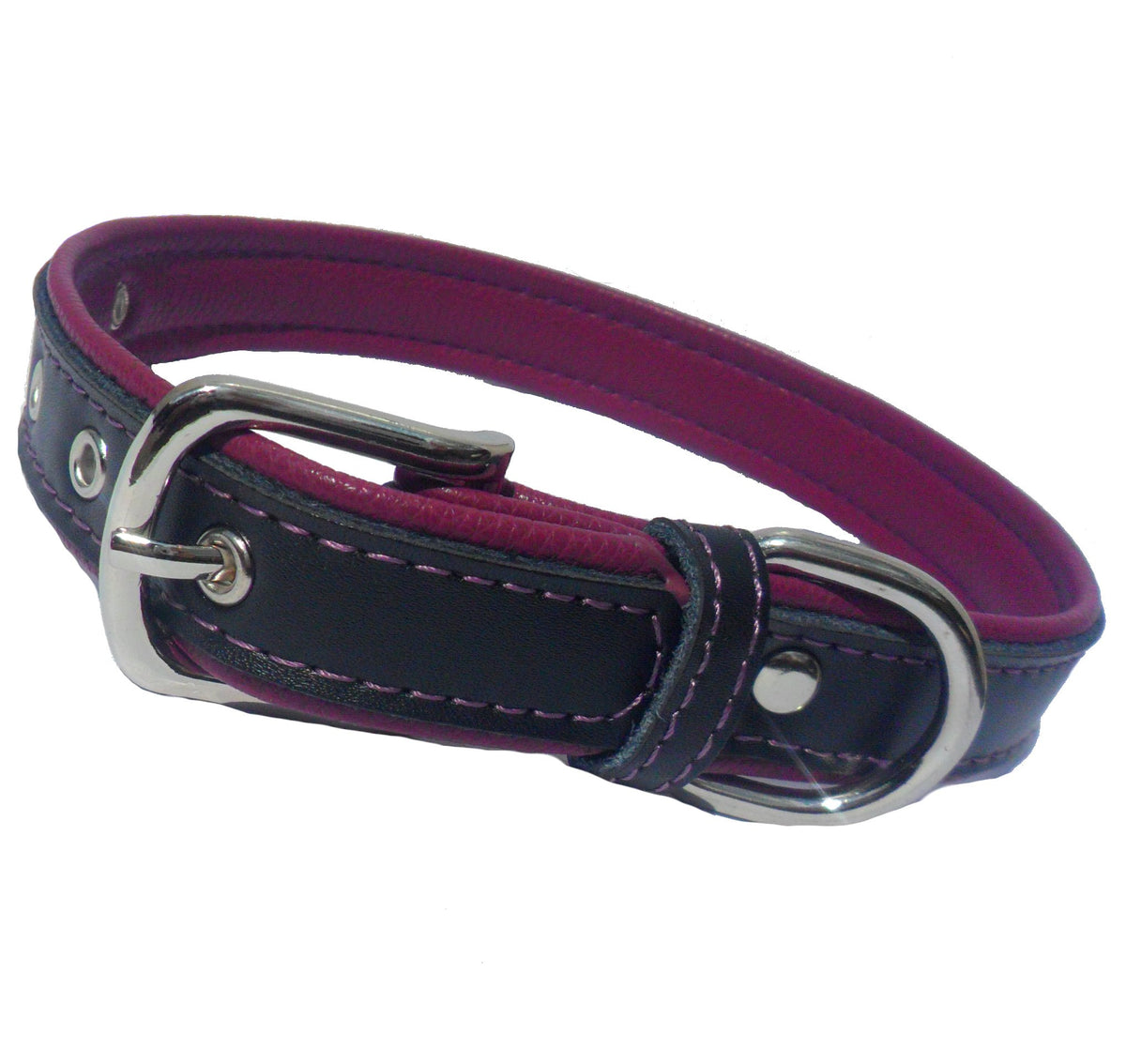 Berry Dog Collar - [[Product type]] | Buffy's
