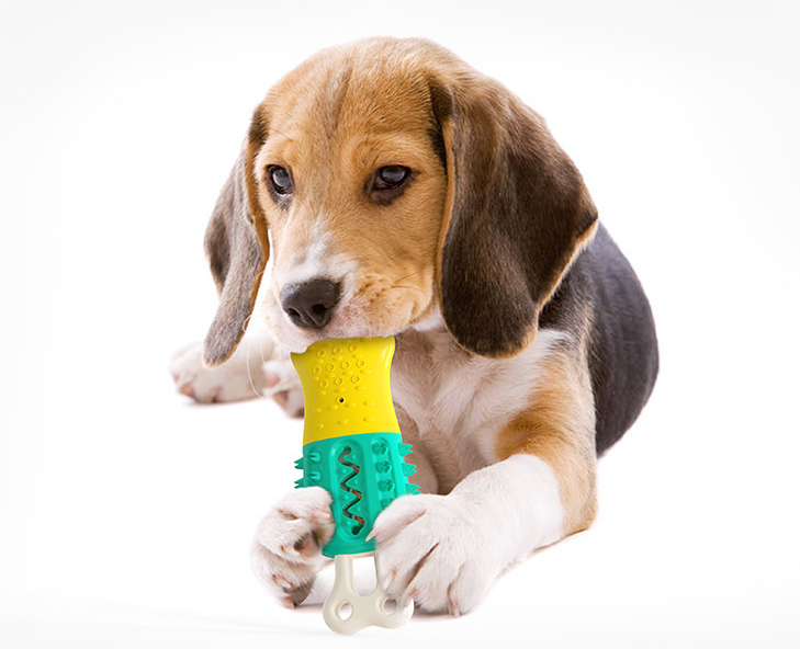 Summer Cooling Cleaning Care Teeth Pet Chewing Supplies - [[Product type]] | Buffy's