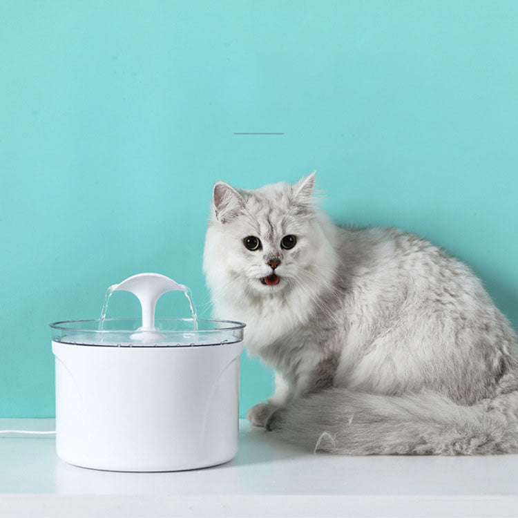 Pet Dog Cat Water Fountain Electric Automatic Water Feeder - [[Product type]] | Buffy's