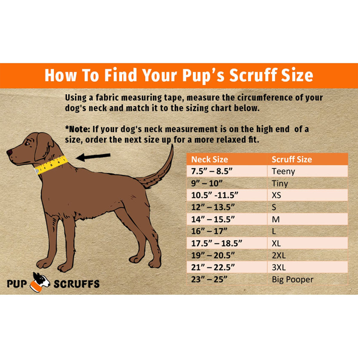 Birthday Pawty Pup Scruff - [[Product type]] | Buffy's