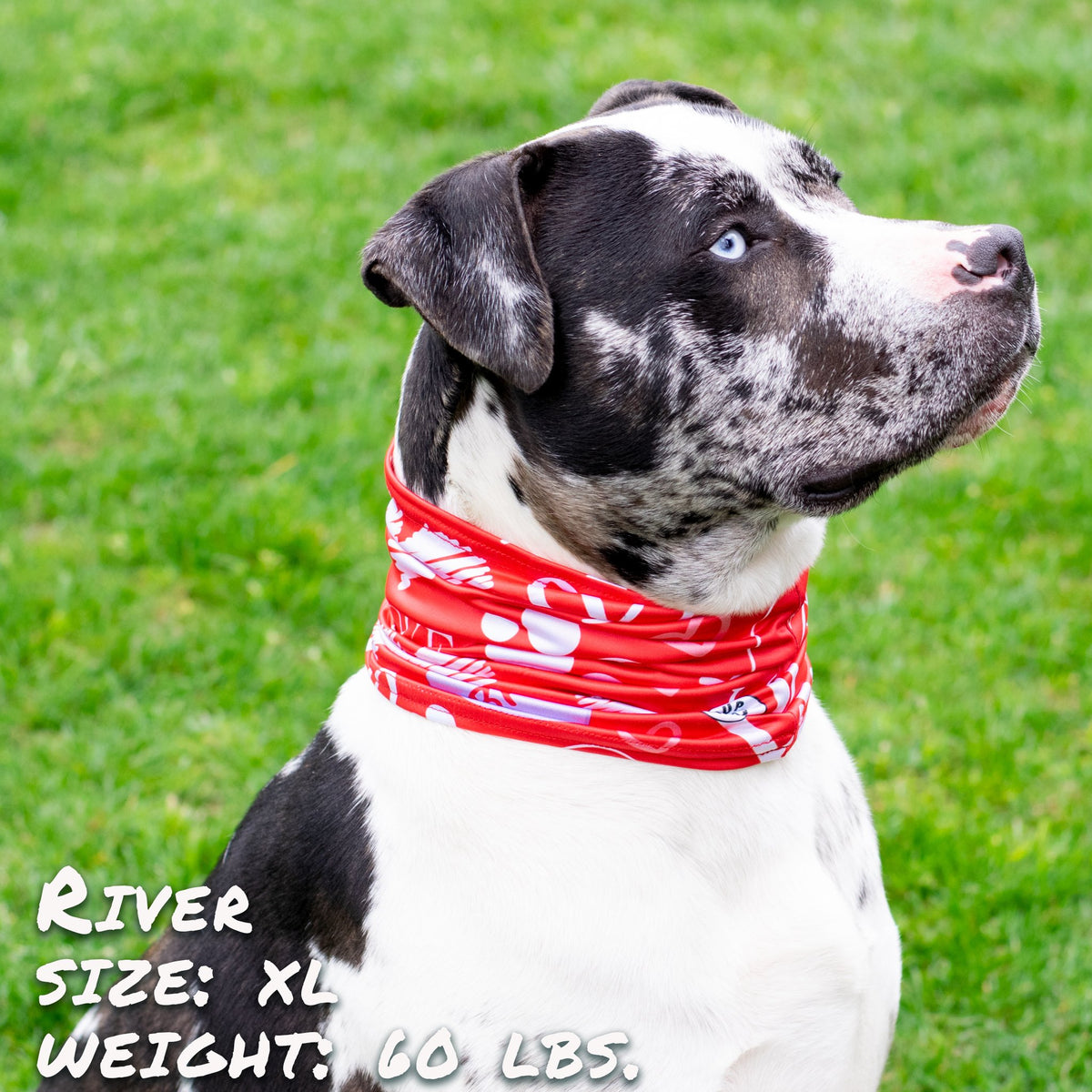 Puppy Love Pup Scruff - [[Product type]] | Buffy's